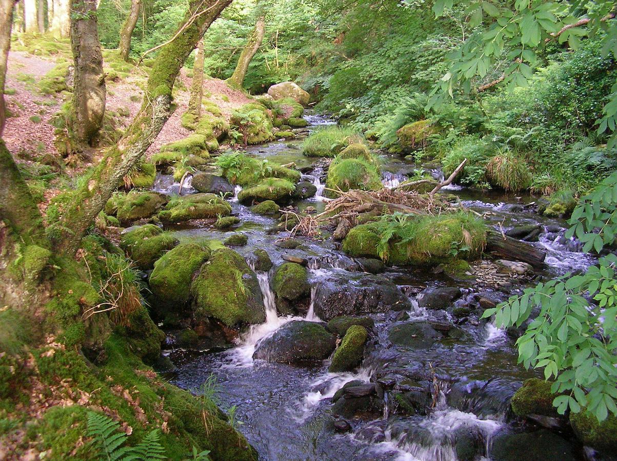 Bed and Breakfast The Dolgoch Bryn-crug Экстерьер фото